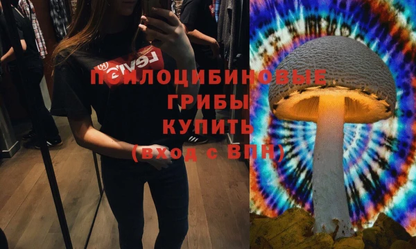 круглые Заводоуковск